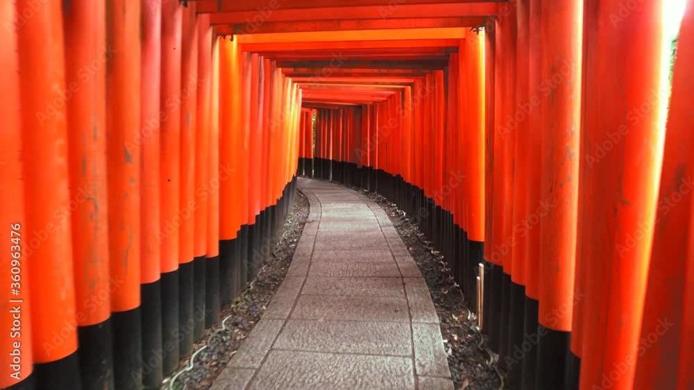 View Of Traditional Japanese Torii Gates at Fushimi Inari Taisha religios in Kyoto city, Japan. View Of Traditional Japanese Torii Gates at Fushimi Inari Taisha religios in Kyoto city, Japan.