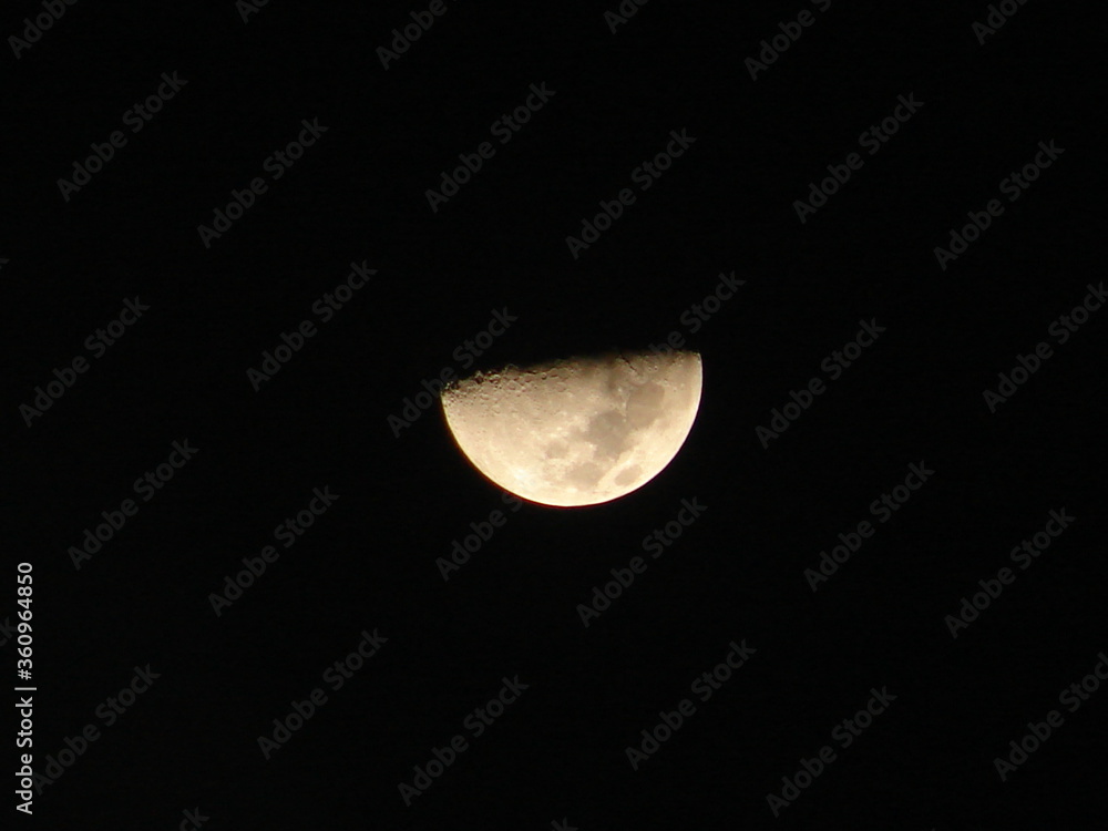 moon in the night moon in the night