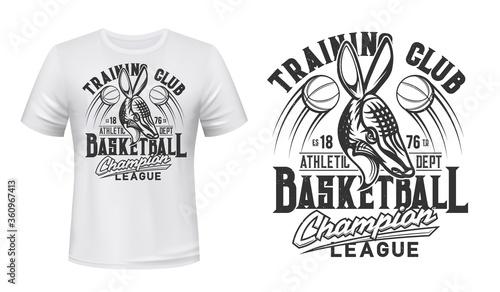 Armadillo animal mascot t-shirt print vector mockup. Angry armadillo, flying basketball balls and typography. Basketball team or sport club, championship or league player apparel print design
