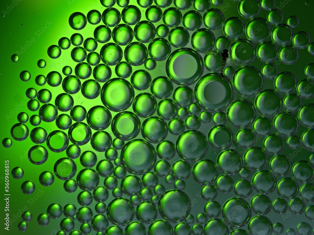 Closeup bubbles oil in water with green blurred abstract background, macro image ,droplets for card design, sweet color