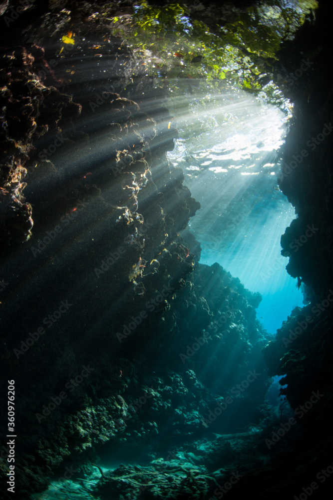 Beams of sunlight descend into the darkness of a submerged canyon in the Solomon Islands. Cracks, crevices, and caverns provide habitat for many reef species that do not prefer sunlight.