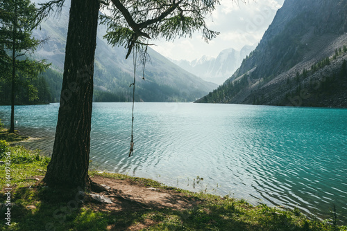 Atmospheric idyllic landscape with rope swing on tree near alpine lake with relax waves on transparent turquoise water. Amazing view to meditative ripples on azure clear calm water of mountain lake.