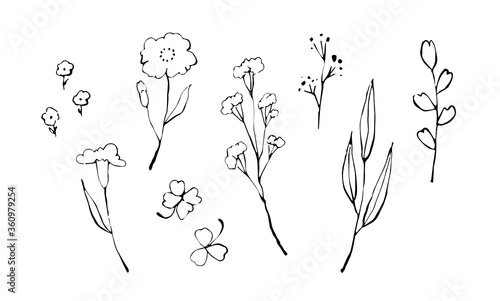 【ベクター！】手描き風フラワーセット