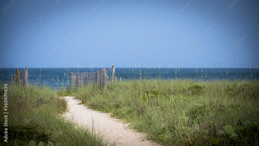 A sandy pathway through the dunes.