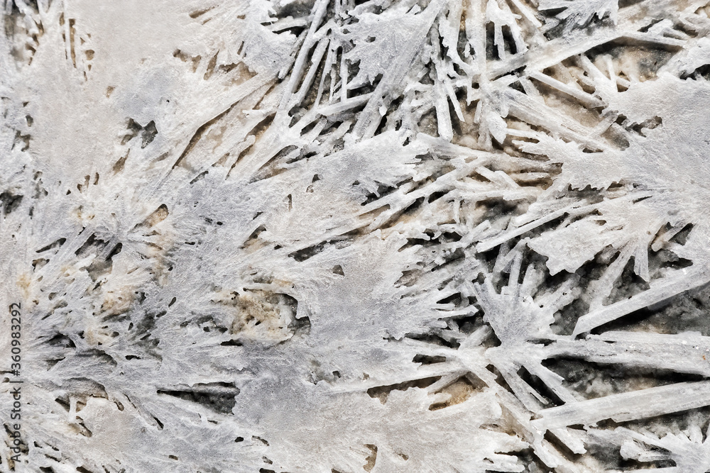 Patterns from salt on shore Lake Ebeyty  in Omsk region (Russia). Natural salt crystals white colored on ground.