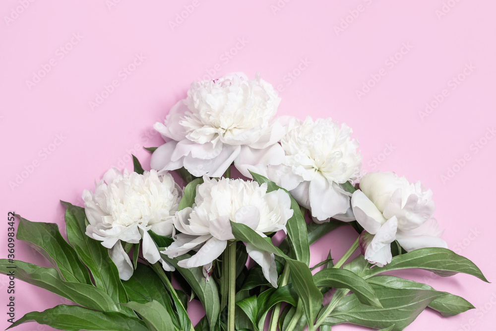 Bouquet of white peonies flower on pink background with copy space. Postcard for mothers day, womens day, wedding invitation card.