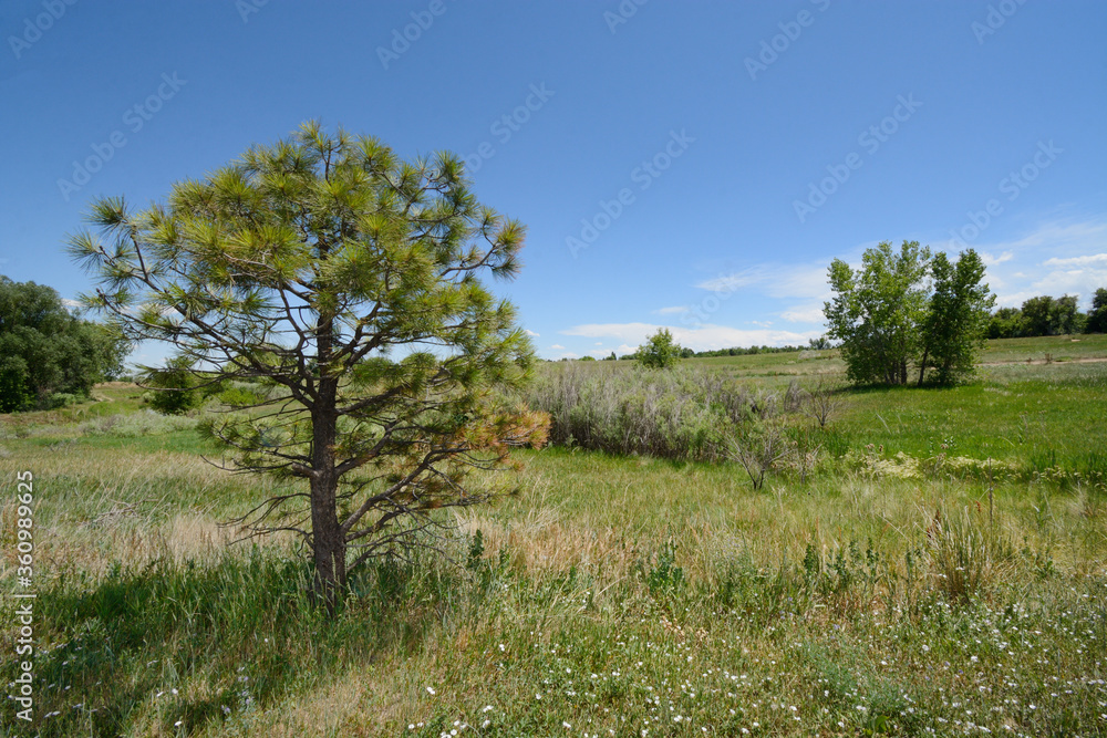 Summer Colorado landscape at Two Ponds National Wildlife Refuge in Arvada Colorado