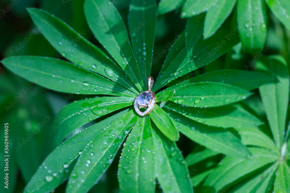 Jewelry on natural backgrounds as a concept Jewelry on natural backgrounds as a concept