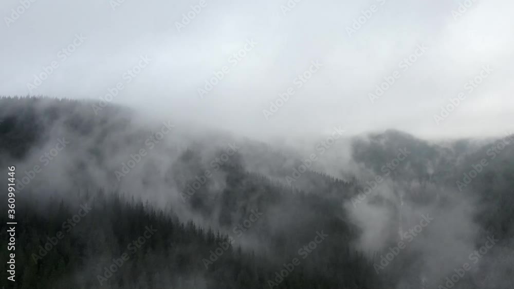 Drone hyperlapse of low hanging clouds in forest Drone hyperlapse of low hanging clouds in forest
