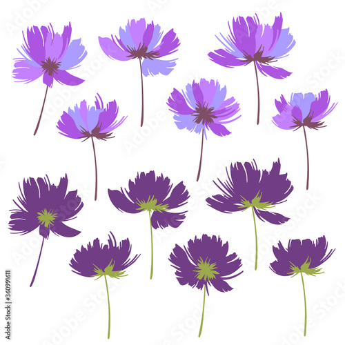 Flower vector illustration material abstract beautifully 