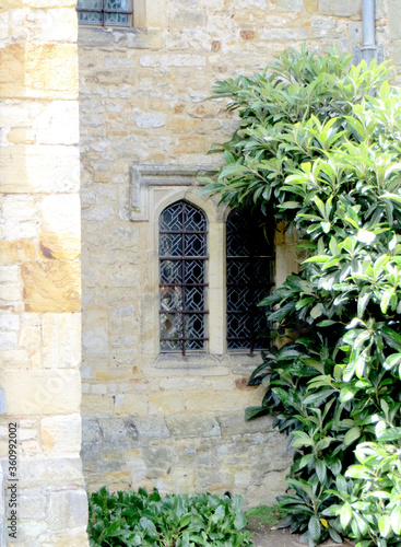 a window in an old stone wall and a green tree beside it