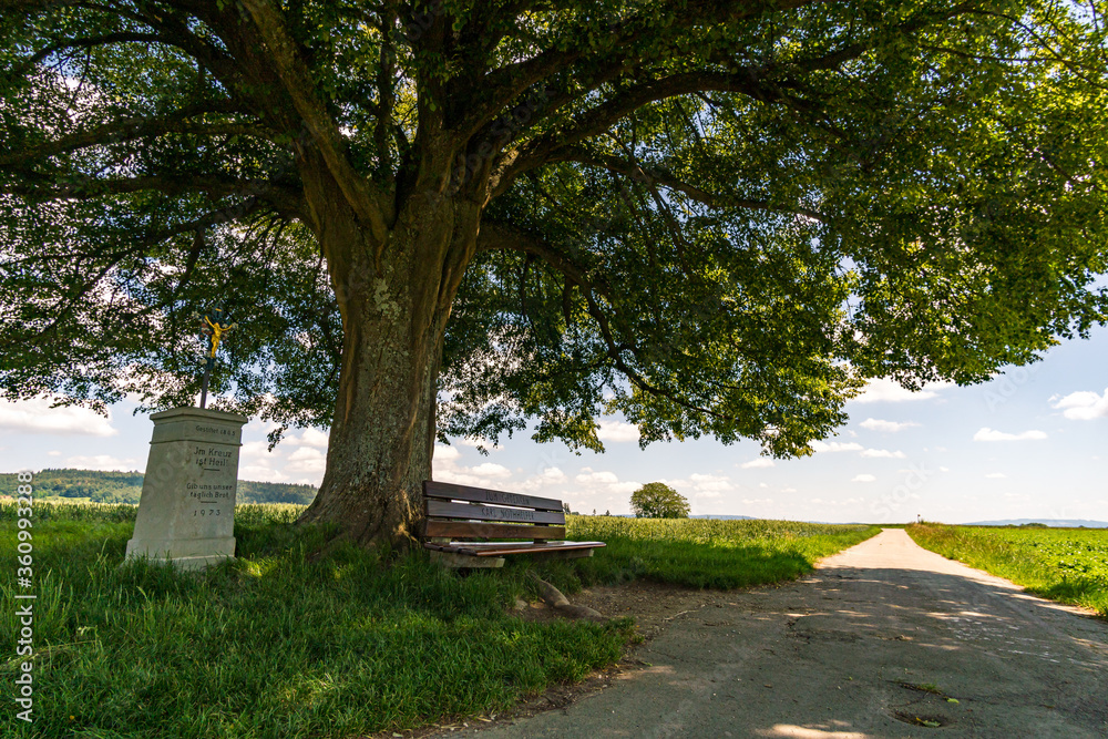 Fototapeta premium Fantastic hike near Sipplingen on Lake Constance