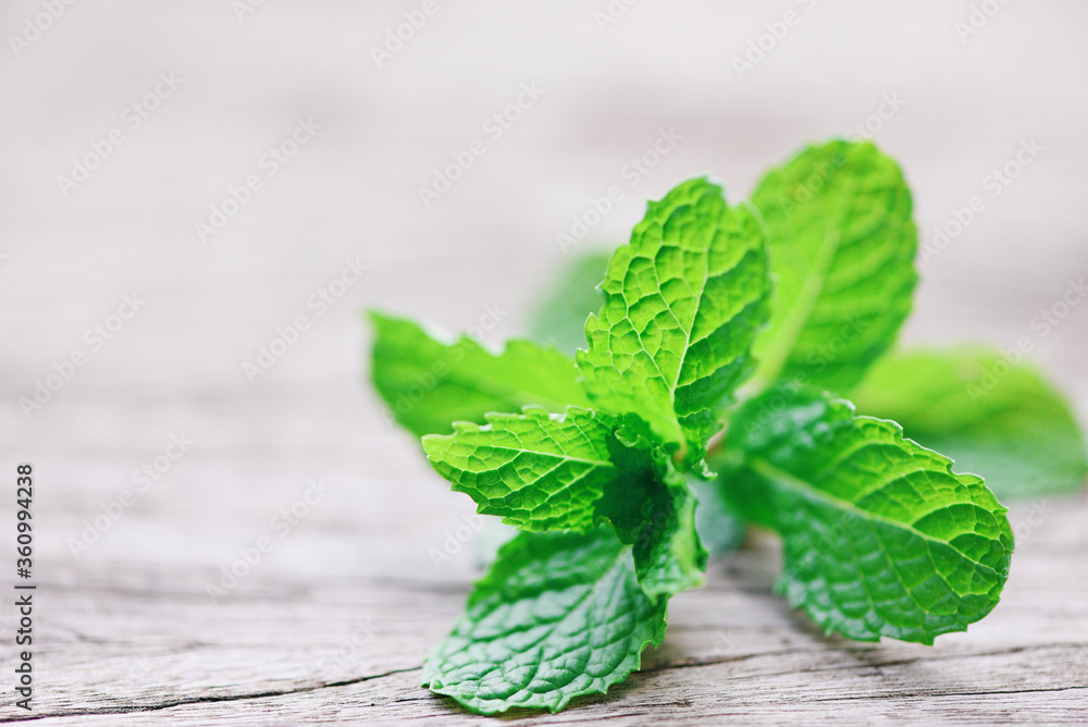 Peppermint leaf on wooden background - Fresh mint leaves nature green herbs or vegetables food Peppermint leaf on wooden background - Fresh mint leaves nature green herbs or vegetables food