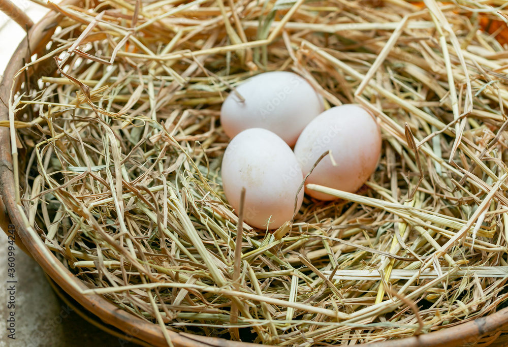 Fresh eggs in a rice straw basket
Fresh eggs in a rice straw basket