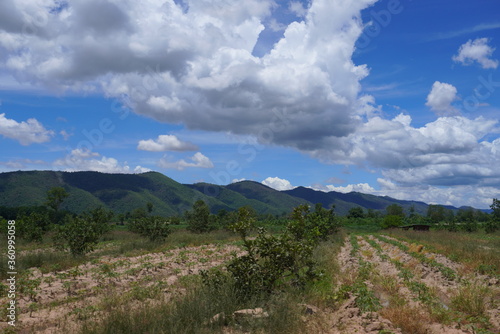Agricultural scenery in the foothills in thailand North