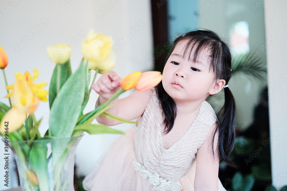 cute asian little girl playing with tulip flowers with interest having fun feeling happy and enjoying play time, staying at home exploring making using imagination, learning doing practical activities cute asian little girl playing with tulip flowers with interest having fun feeling happy and enjoying play time, staying at home exploring making using imagination, learning doing practical activities