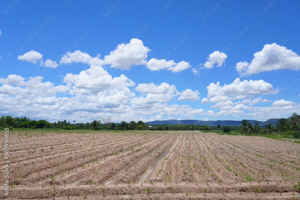 Agricultural scenery in the foothills in thailand North