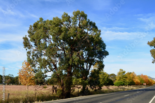 A section of the Castlereagh Highway near the town of Mudgee, Australia