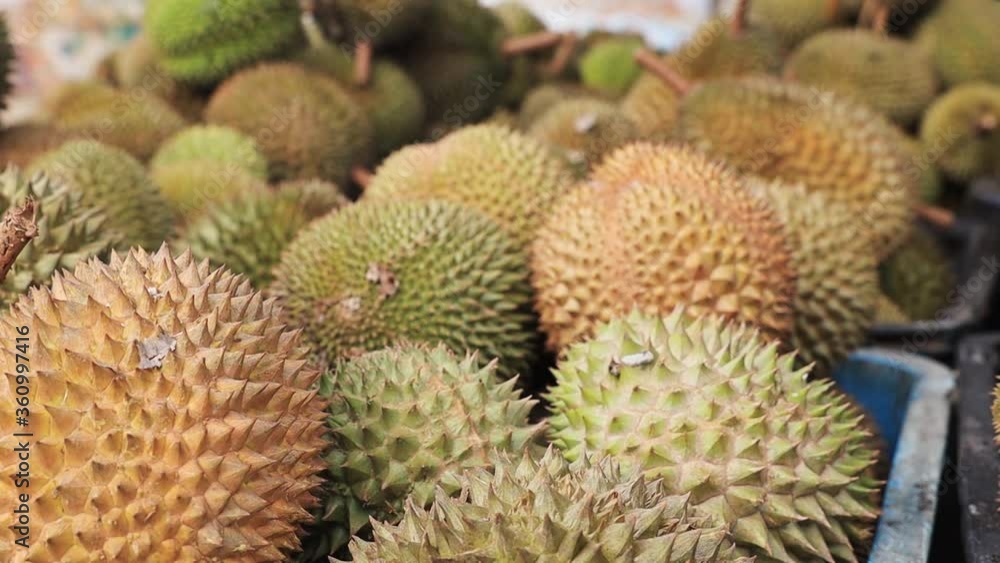 Close up shot: A lot of durian, a delicious local fruit in Malaysia, a fruit everyone should try. Close up shot: A lot of durian, a delicious local fruit in Malaysia, a fruit everyone should try.