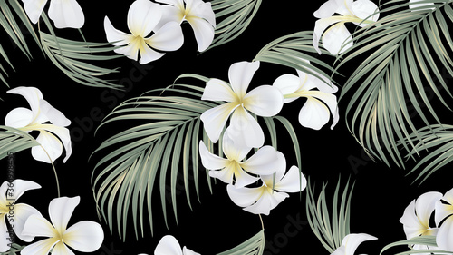 Floral seamless pattern, white plumeria flowers with indoor bamboo palm leaves on black photo