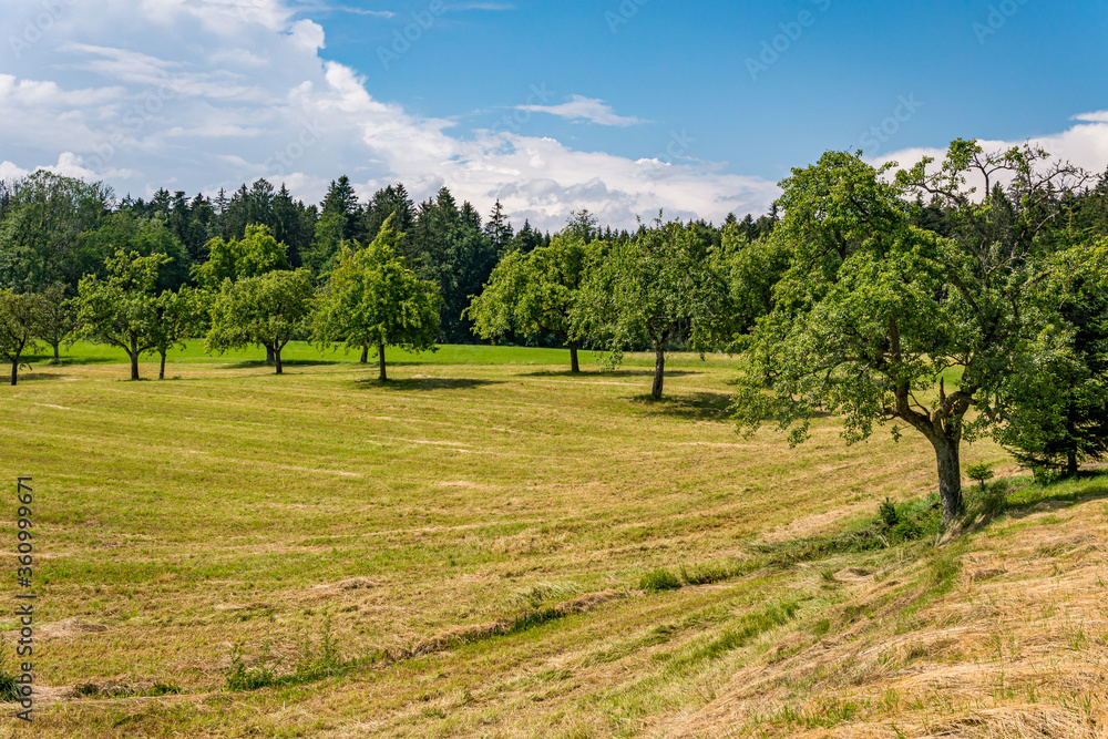 Fantastic hiking on northern Lake Constance Fantastic hiking on northern Lake Constance