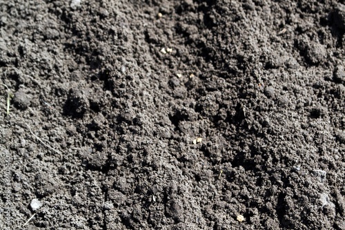 Ground texture. Photo of the earth