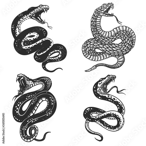 Set of illustrations of poisonous snake in engraving style. Design element for logo, label, sign, poster, t shirt. Vector illustration