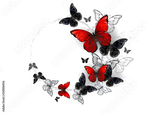 Canvas Print Flight of black and red butterflies morpho