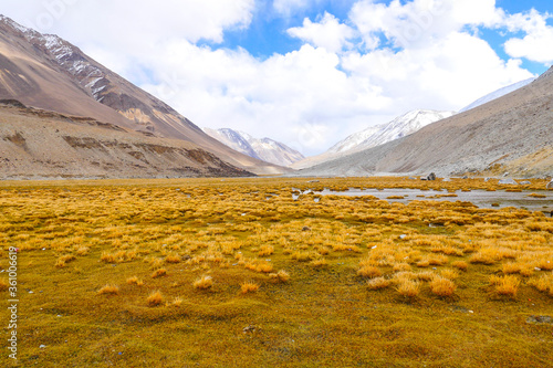 Landscape view of Ladakh India.  © moderngolf1984