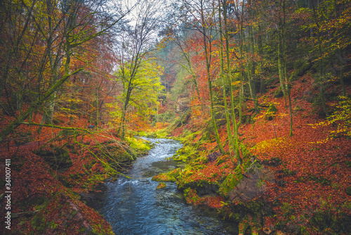 The Kamnitz Gorge in Saxon switzerland national park in Czech republic on the Kamenice River, Bohemian Switzerland. photo