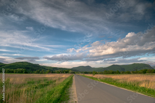 Asphalt road going into perspective against the background of cloudy sky and green meadows