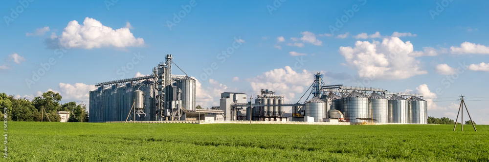 silver silos on agro-processing and manufacturing plant for processing drying cleaning and storage of agricultural products, flour, cereals and grain. Granary elevator.