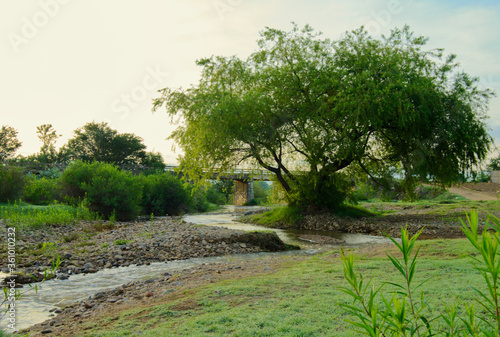 El Rio Valiente Cuilapam Oaxaca photo