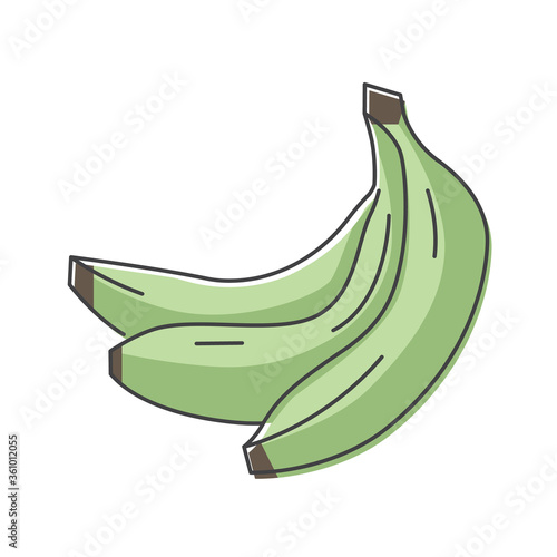 Bunch of banana hand drawn icon, green bananas vector illustration for printing