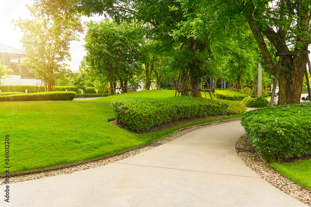Good care maintenance garden of gray curve pattern walkway, sand washed finishing on concrete paving, brown gravel border, smooth green grass lawn, trees with supporting and shrub in the park