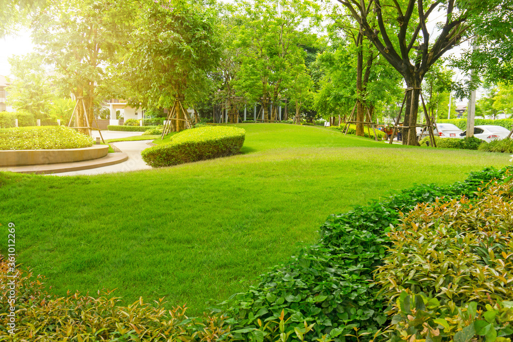Fototapeta premium Garden of smooth green grass lawn, trees with supporting, shrub in a good maintenance landscape in park, gray curve pattern walkway, sand washed finishing on concrete paving, flower base on the left