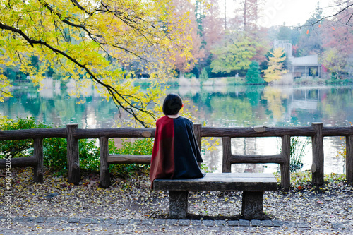 後ろ姿の女性、秋の風景