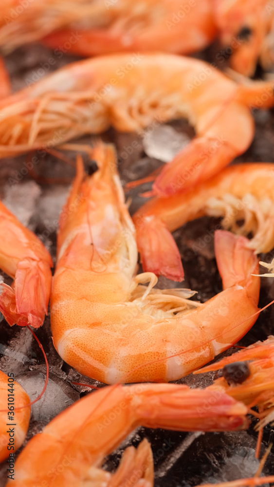fresh shrimps on ice closeup. macro shot fresh shrimps on ice closeup. macro shot