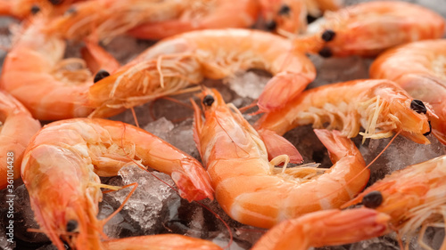 fresh shrimps on ice closeup. macro shot