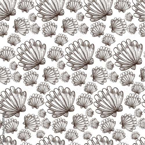 Seashell ocean or sea wildlife, nautical seamless pattern © Sonulkaster
