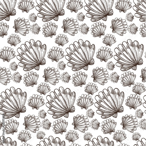 Seashell ocean or sea wildlife  nautical seamless pattern