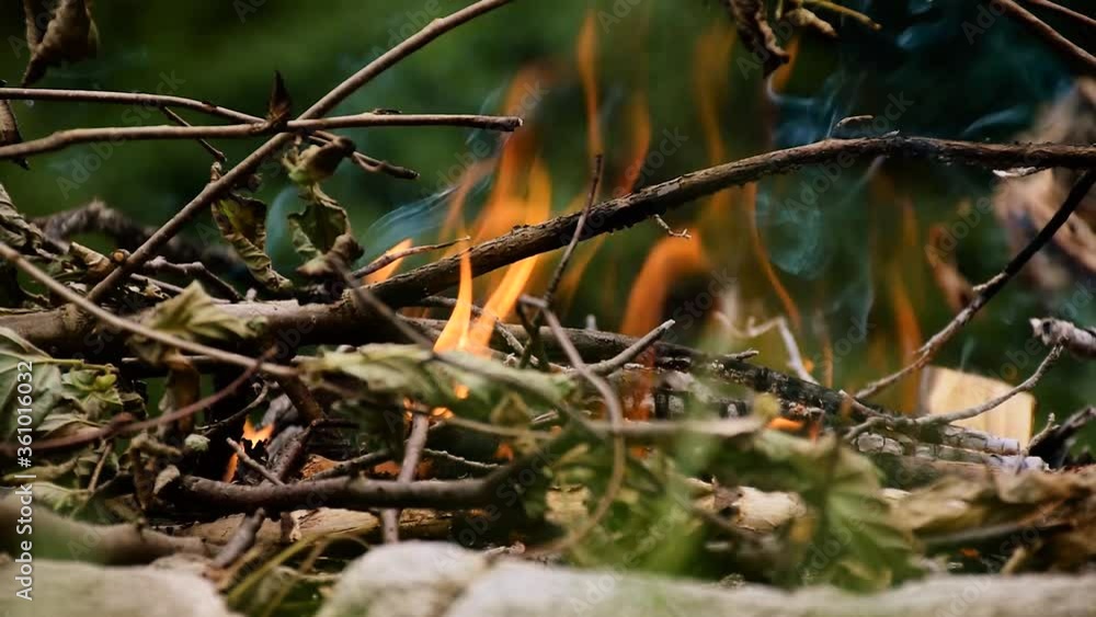 outdoor camping fire burning in the woods outdoor camping fire burning in the woods