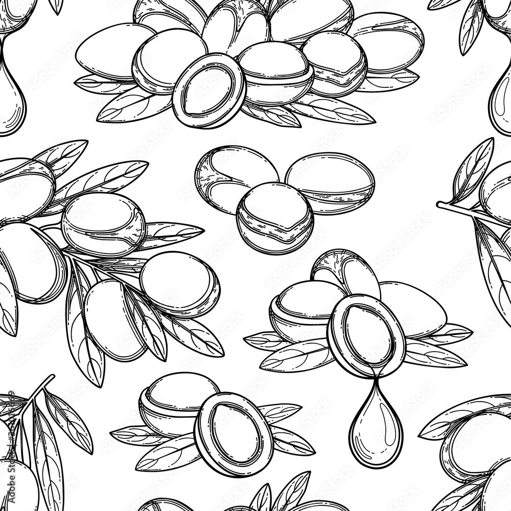 Seamless pattern of graphic argan plants. Vector design Seamless pattern of graphic argan plants. Vector design
