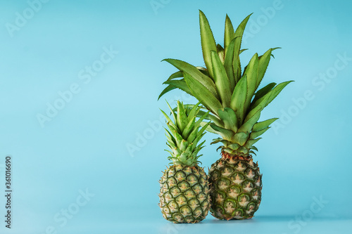Pineapple fruit isolated on blue background. Healthy lifestyle concept.