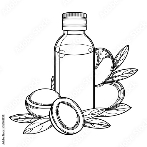 Graphic oil bottle surrounded by argan plants