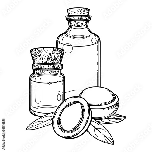 Graphic oil bottles surrounded by argan plants