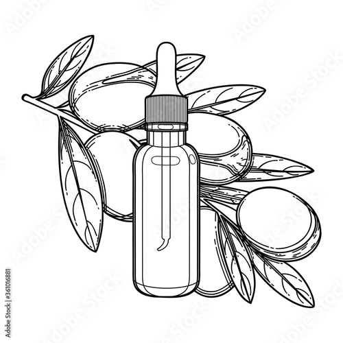 Graphic oil bottle decorated with argan branch.