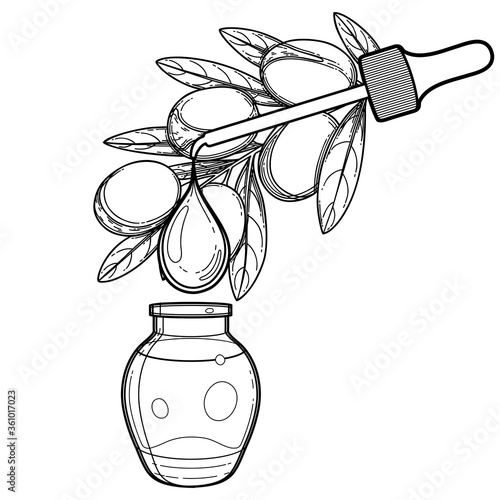 Graphic oil drop dripping from the argan plant into the small glass bottle