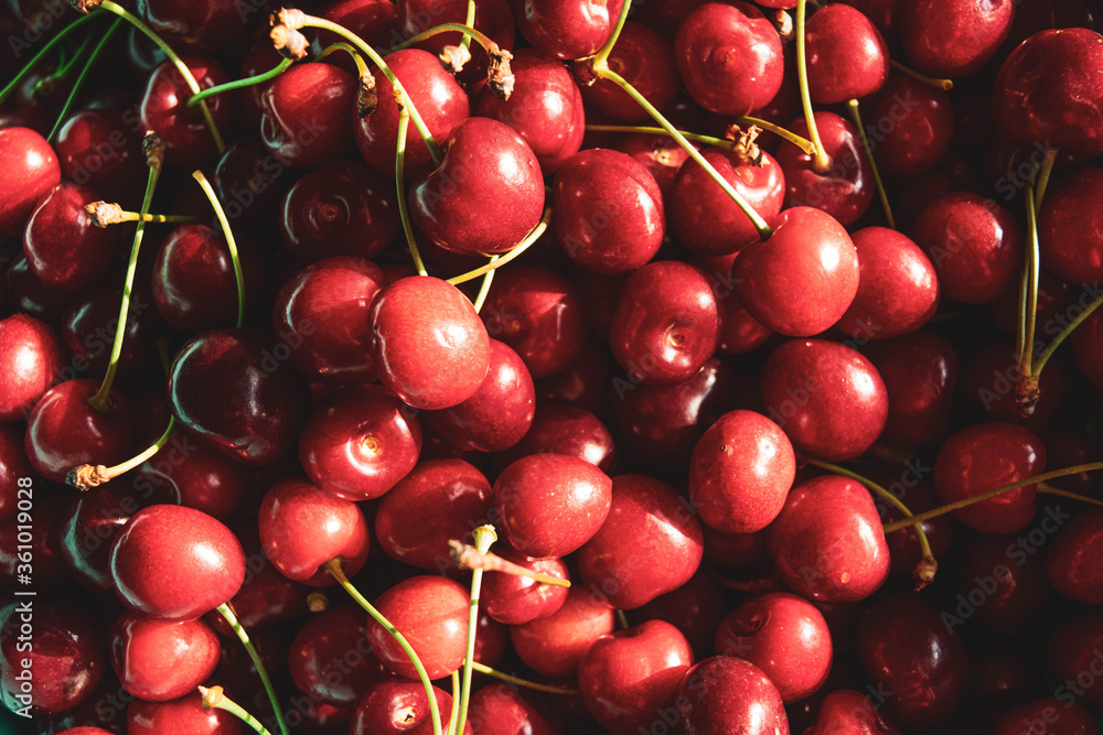 red cherries background red cherries background