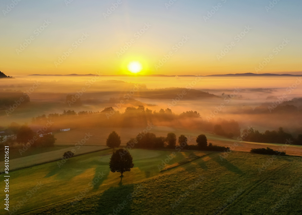 dreamlike sunrise after the rain - morning fog rises high in the golden light